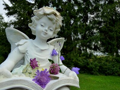 Flowers garden read
