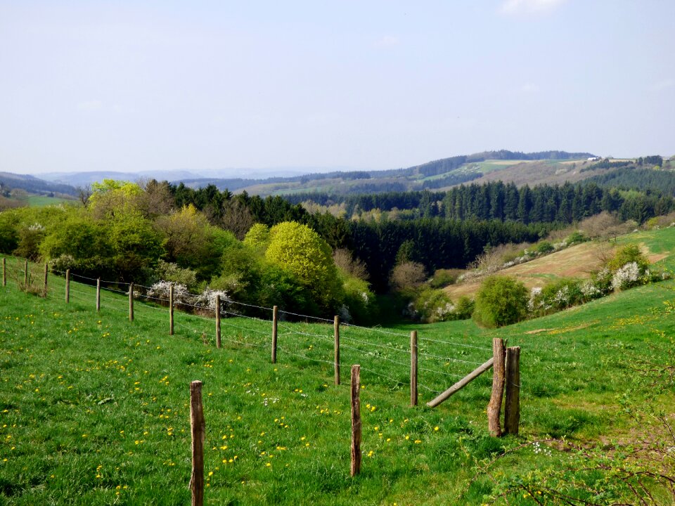 Dal luxembourg spring