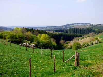 Dal luxembourg spring