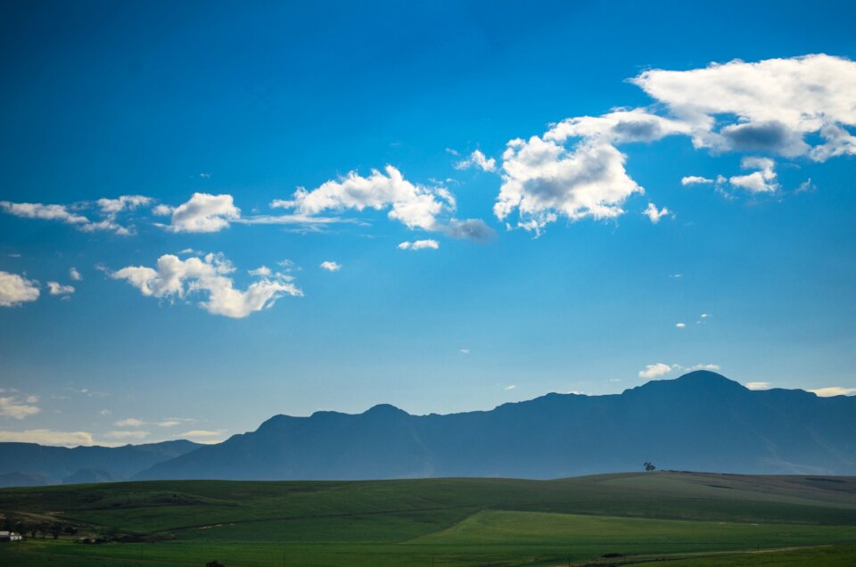 Green blue nature