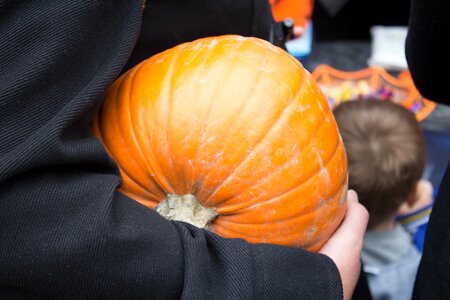 Orange carrying