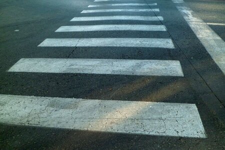Zebra transit crosswalk
