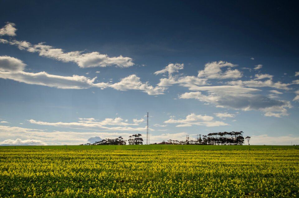 Fields sky landscapes