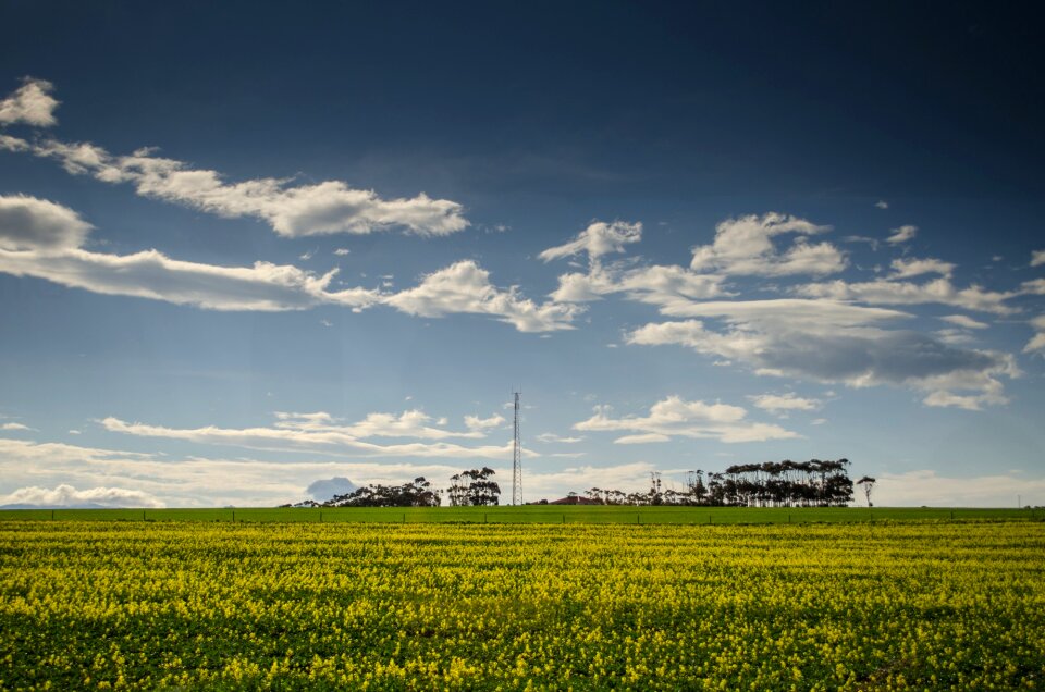 Fields sky landscapes photo