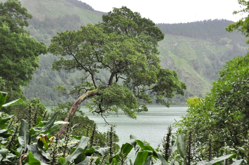 Island water landscape