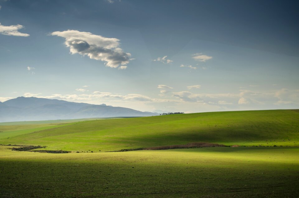 Fields sky landscapes