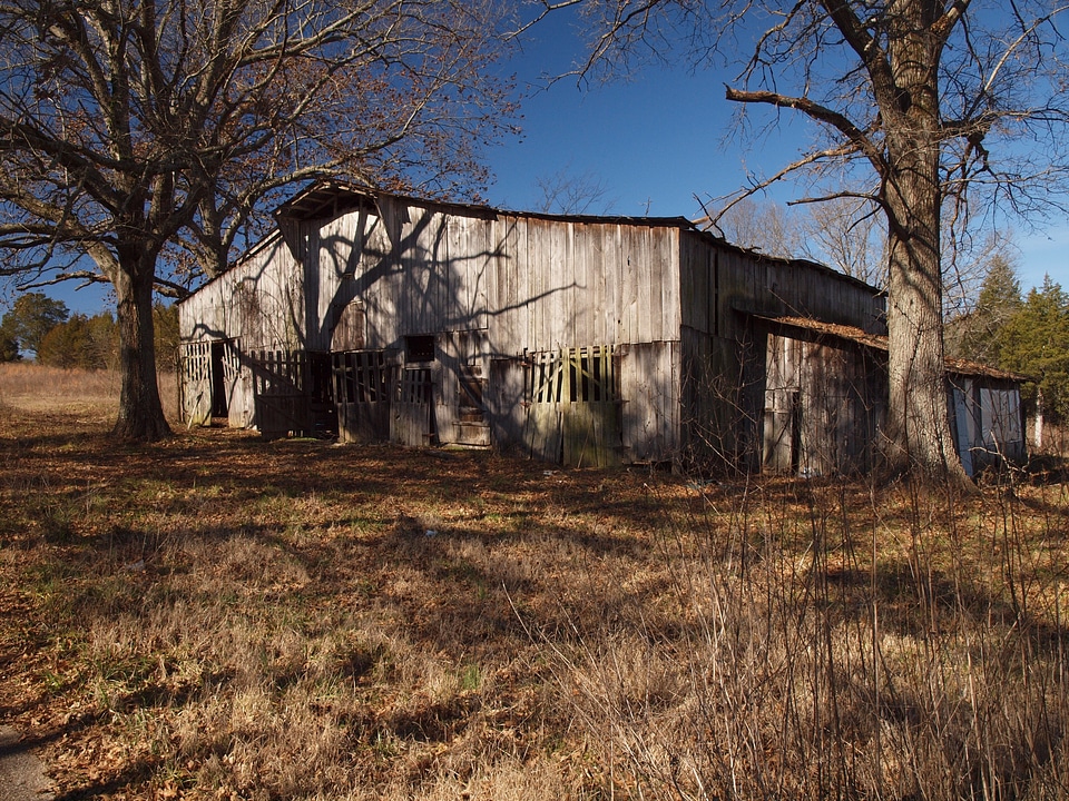 Farm blue sky