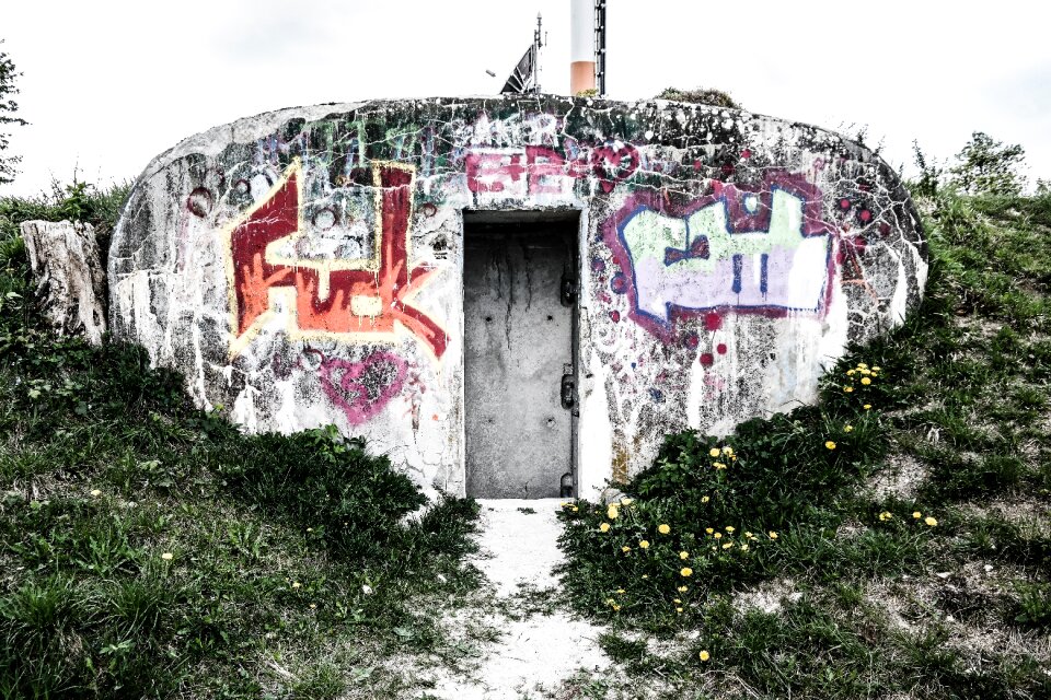 Ulm cow mountain concrete