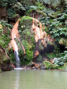 Nature green landscape