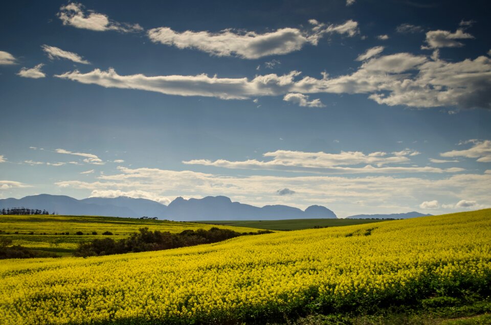 Fields sky landscapes