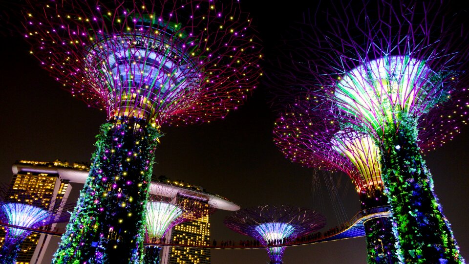 Lighting landmark supertree photo