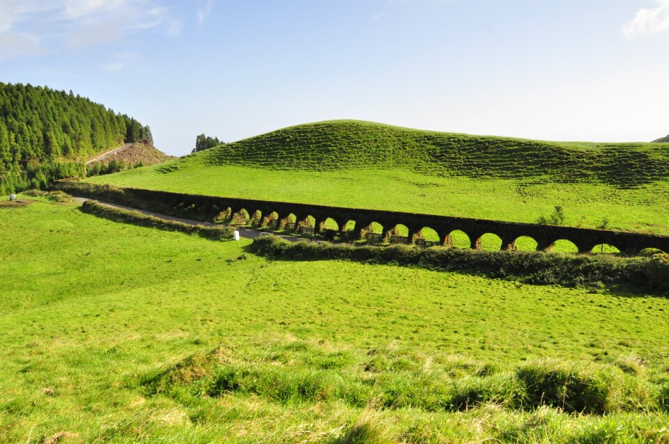 Pasture landscape summer