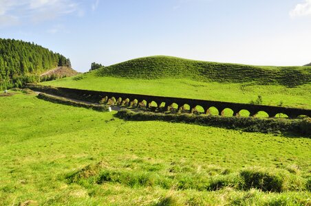 Pasture landscape summer photo