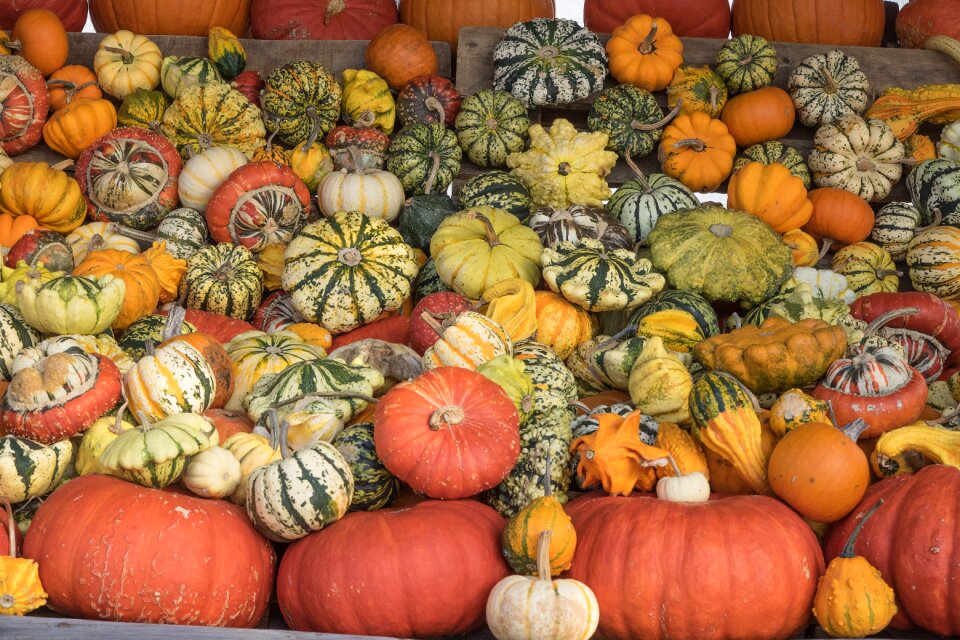 Yellow gourd decoration