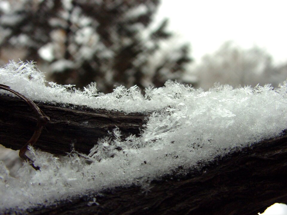 Cold frost snowflake frost