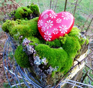 Decoration romantic romance