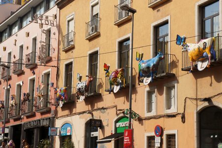 Cows spain architecture photo