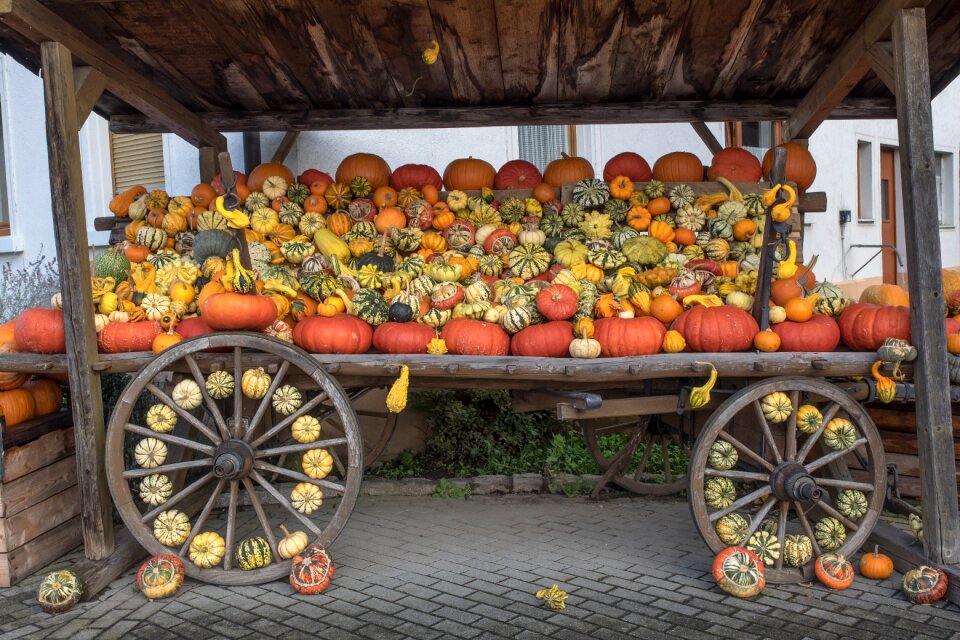 Yellow gourd decoration