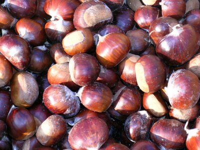 Chestnuts autumn fruit
