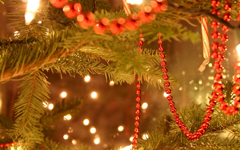 Seasonal festive