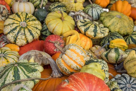 Yellow gourd decoration