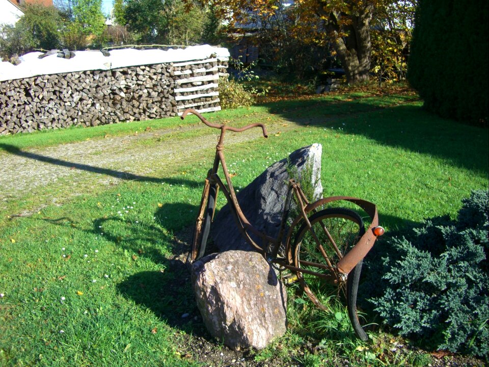 Bent lumber rust