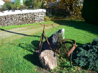 Bent lumber rust