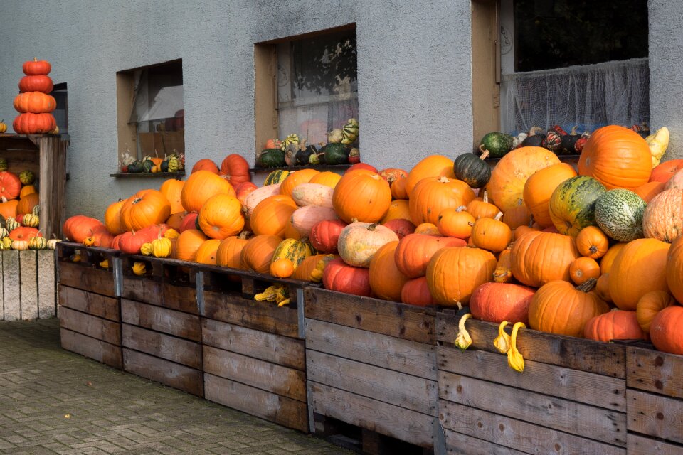 Yellow gourd decoration