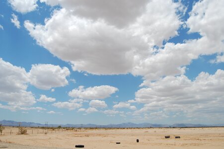 Litter landscape southwest photo