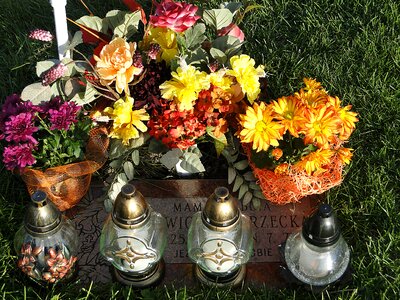 Cemetery all saints ' day tribute