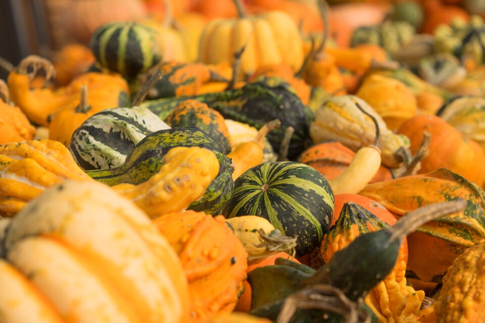Yellow gourd decoration