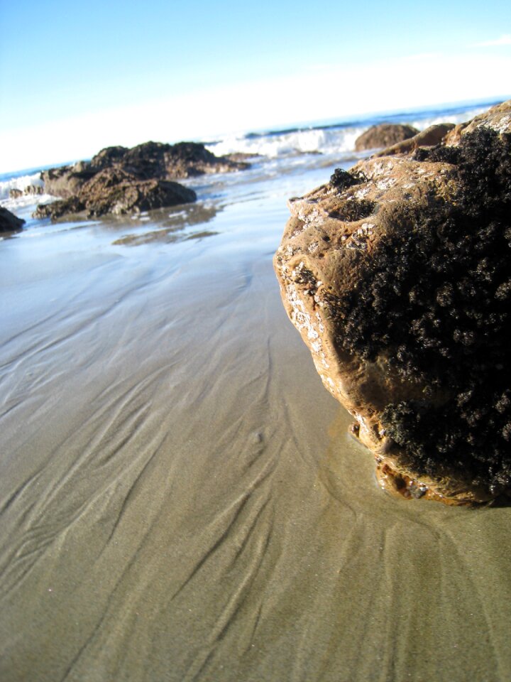 New zealand beach rock