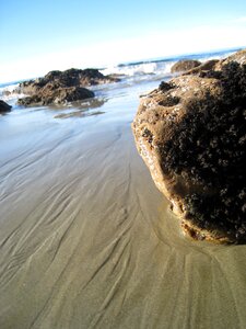 New zealand beach rock photo