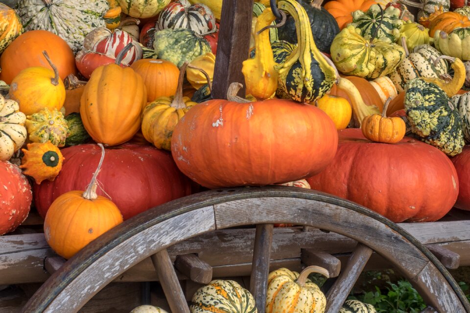 Yellow gourd decoration