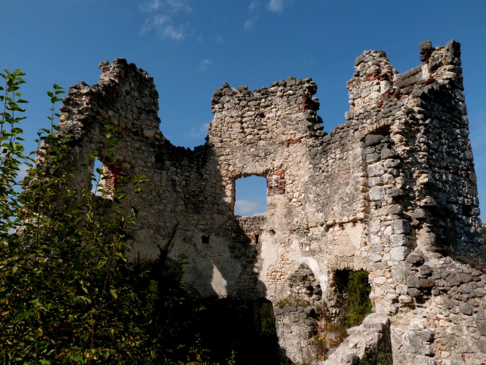 Ruins construction undergrowth