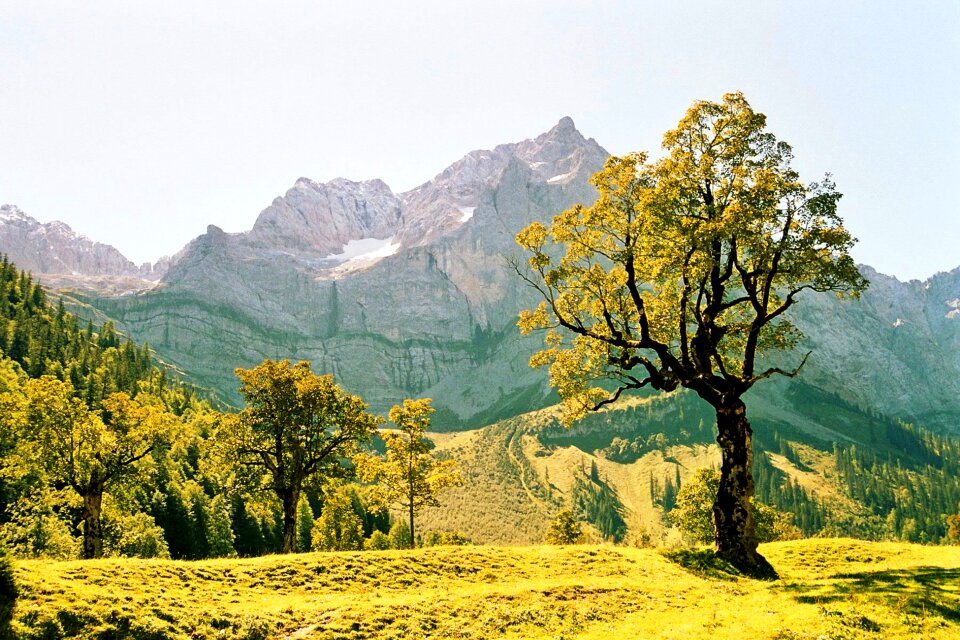Engalm mountain landscape meadow