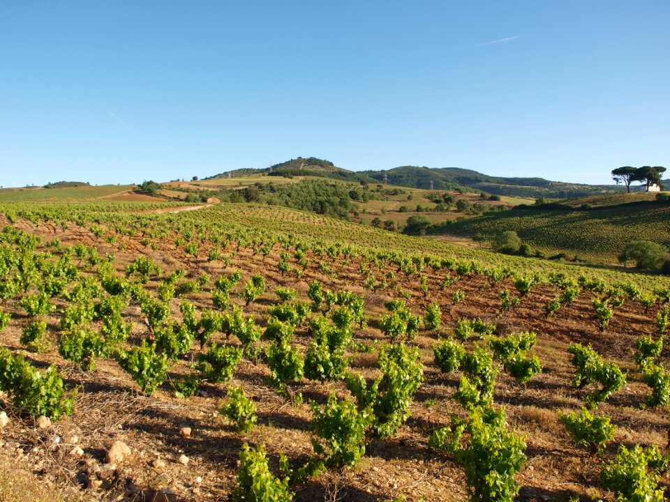 Agriculture rural countryside