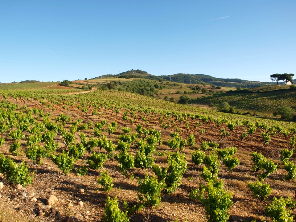 Agriculture rural countryside photo