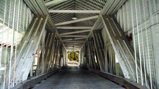 Bridge structure covered photo