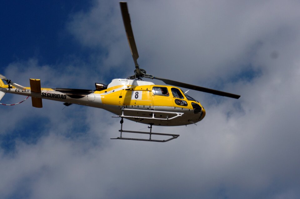 Security flight rotors
