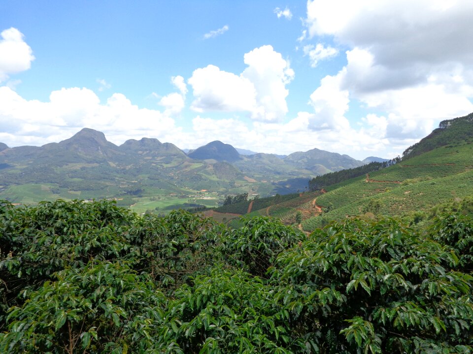 Mountains minas manhuaçu