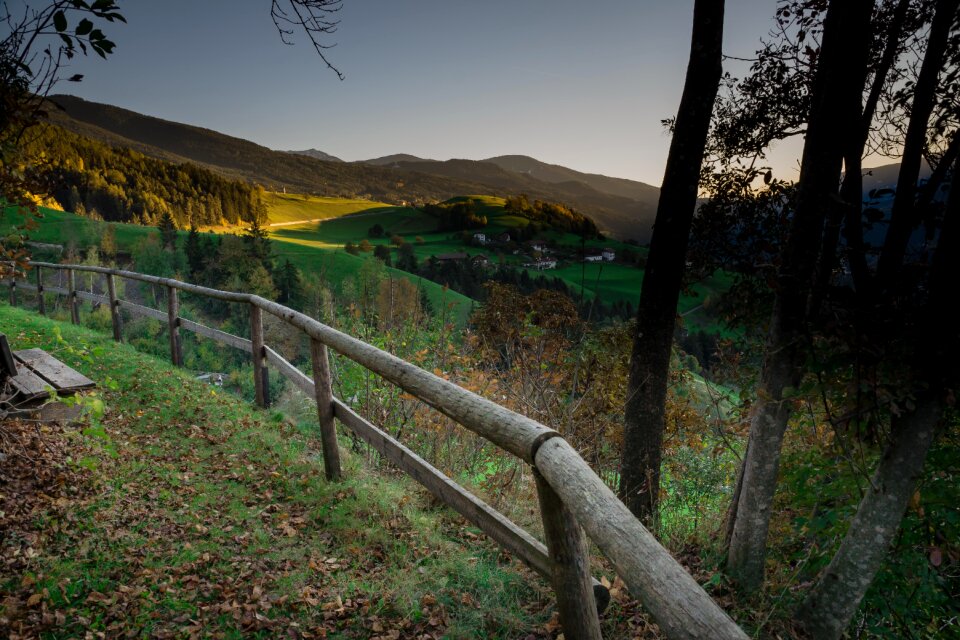 Forest landscape italy