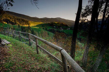 Forest landscape italy