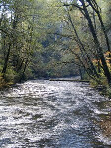 Water river creek photo