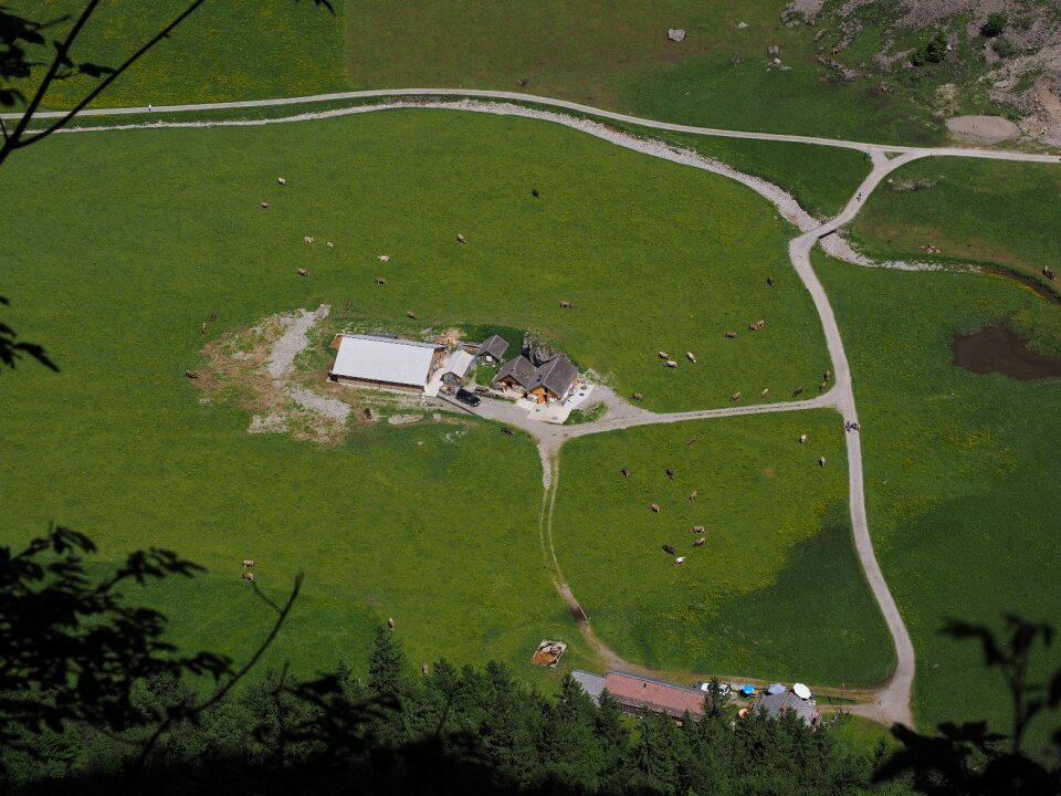 Säntis mountain hut hof