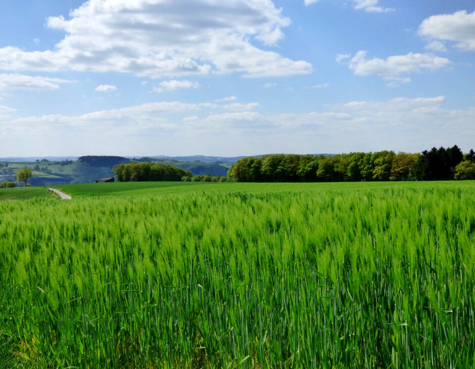 Nature landscape luxembourg