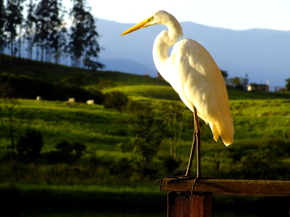 Nature landscape eventide