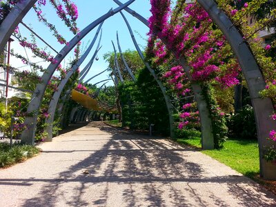 Southbank walkway tourism