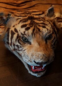 Tiger skin pulley head