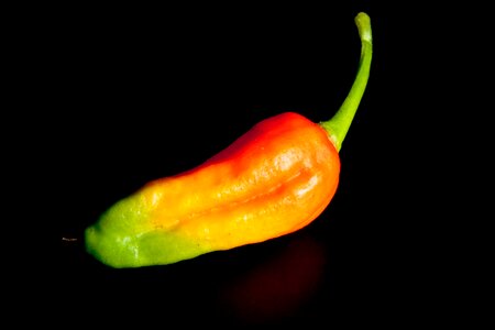 Sharp spice sharpness